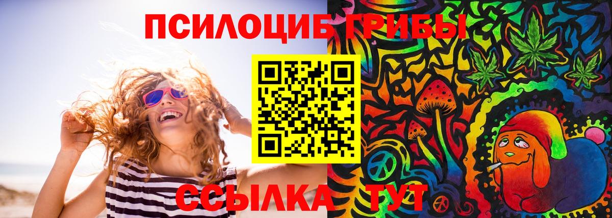 Галлюциногенные грибы мицелий Гатчина