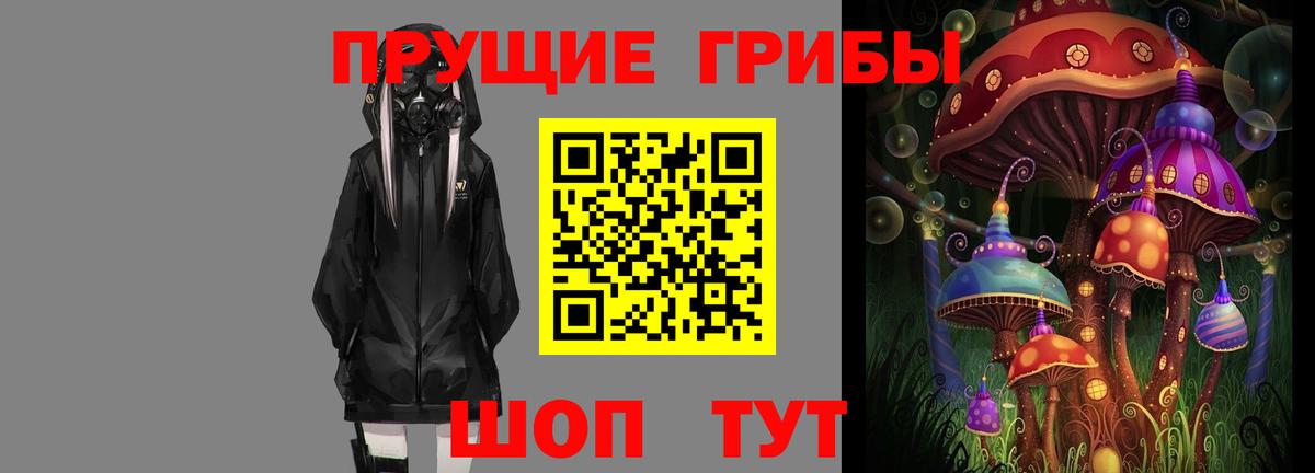 Галлюциногенные грибы мухоморы  что такое   Гатчина  Вход с VPN 