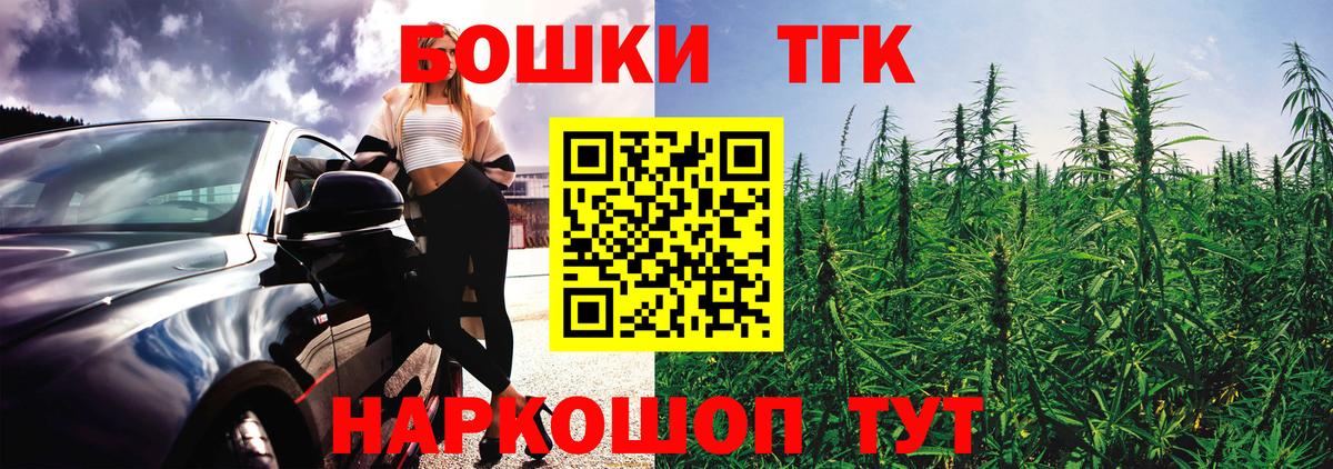 Канабис сатива Гатчина